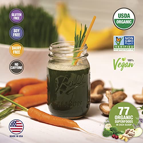 Terra Kai Organics JUCE Greens Superfood Drink Mix - Harvest Apple Flavor - 40 Servings - Fruits & Vegetables for Immune Boost, Detox & Cleanse, Improve Gut Health (17.44 Ounce, Pack of 2)