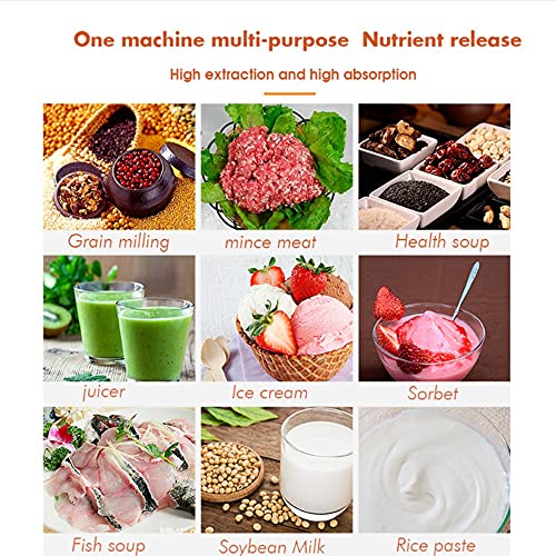 VDSOIUTYHFV Juicer, Slow Masticating Juicer Extractor, Professional Mini Cold Press Juicer Machine, Quiet Motor,400ML Jug, Reverse Function