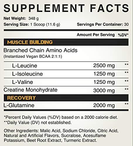 Peak Post Workout - BCAA 2:1:1 by Kodiak Supplements - Creatine - Glutamine - Muscle Recovery and Strength Building Supplement - 30 Servings - Tropical Mango