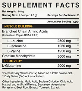 Peak Post Workout - BCAA 2:1:1 by Kodiak Supplements - Creatine - Glutamine - Muscle Recovery and Strength Building Supplement - 30 Servings - Tropical Mango