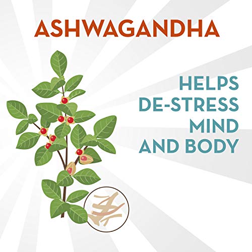 Align Probiotic, Digestive De-stress, Probiotic with Ashwagandha, which Helps with a healthy response to stress, 21 Capsules