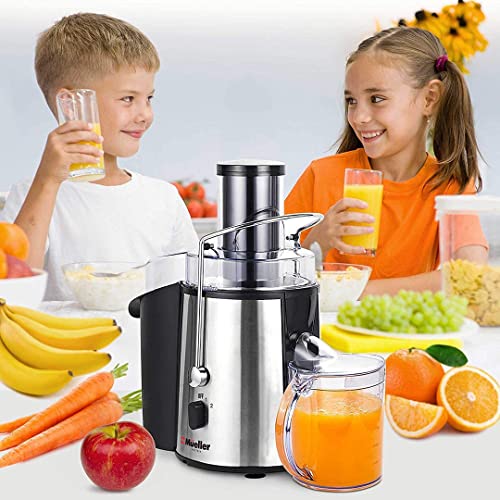 Mueller Juicer Ultra Power, Easy Clean Extractor Press Centrifugal Juicing Machine, Wide 3" Feed Chute for Whole Fruit Vegetable, Anti-drip, High Quality, Large, Silver
