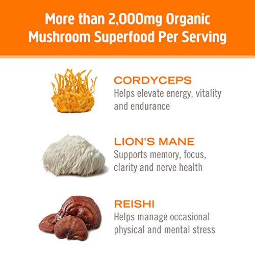 Om Mushroom Superfood Energy Plus Mushroom Powder Drink Mix, Citrus Orange, Single Serve, 10 Count, Mushroom Blend, Cordyceps, Yerba Mate, Tumeric, Vitamin B Complex, Pre-Workout, Immune Supplement