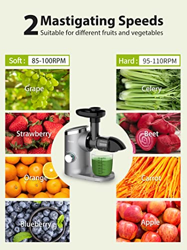 Slow Masticating Juicer,Aeitto Celery Juicer Machine,Juice Extractor,Cold Press Juicer with 2-Speed Modes,Reverse Function & Quiet Motor for Vegetables And Fruits,Easy to Clean with Brush