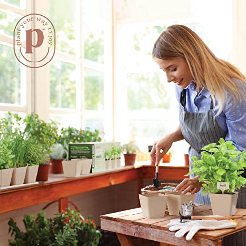 9 Herb Window Garden - Indoor Herb Starter Kit - Unique Gardening Gifts for Women & Men Cook - Kitchen Windowsill Growing Kit + Guide to Easily Grow 9 Herbs - Best Unusual Birthday Gift for Cooking