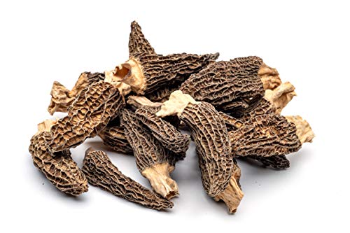 Slofoodgroup Dried Morel Mushrooms (Morchella Conica) Gourmet Morel Mushrooms (1 Lb ) Morel Mushrooms