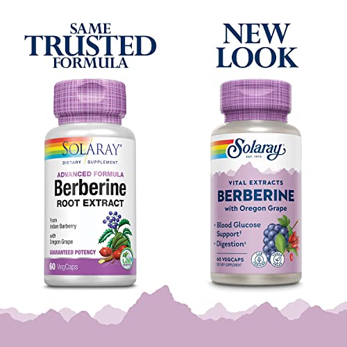 Solaray Berberine Extract with Oregon Grape, Healthy Blood Glucose & Digestion Support, AMPK Activator, 60 VegCaps