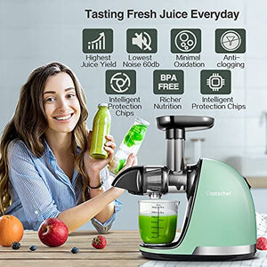 amzchef Juicer Machines, Slow Masticating Juicer Extractor Easy to Clean, Slow Juicers with Quiet Motor Reverse Function Anti-Clogging, Cold Press Juicer Machines with Brush,for High Nutrient Fruit & Vegetable Juice