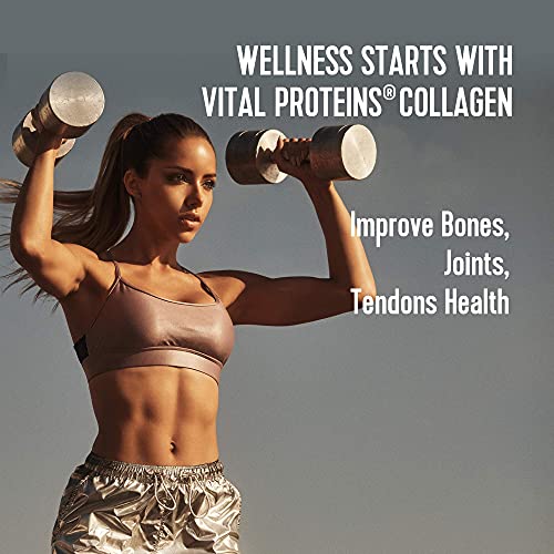 Vital Performance Protein Powder, 25g Lactose-Free Milk Protein Isolate Powder, NSF for Sport Certified, 10g Grass-Fed Collagen Peptides, 8g EAAs, 5g BCAAs, Gluten-Free - Chocolate, 1.72lb