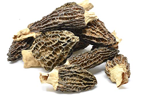 Slofoodgroup Dried Morel Mushrooms (Morchella Conica) Gourmet Morel Mushrooms (1oz morels)