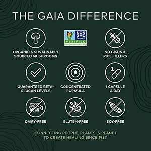 Gaia Herbs, Turkey Tail Mushroom, Organic & Sustainably Sourced, Immune & Liver Support, No Grain & Rice Fillers, Vegan Herbal Supplement, 40-Count