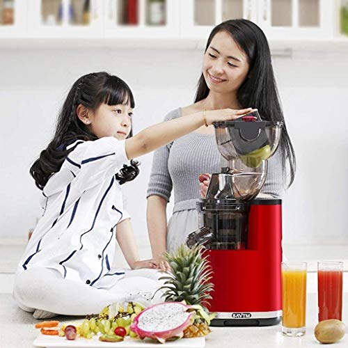 wan QIN Juicer Machines, Masticating Juicer, 3.2-Inch Wide Chute Cold Press Juicer, Easy to Clean with Brush, Carrot Slow Juicer Machine, High Nutrition Reserve & Juice Yield Juice Machine