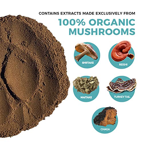 Real Mushrooms 5 Defenders Mushroom Extract Powder for Immune Support (45 Day Supply) Better Overall Wellbeing with Organic and Vegan Chaga, Shiitake, Maitake, Turkey Tail, Reishi Mushroom