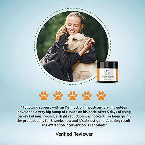 Four Leaf Rover: Turkey Tail Mushroom Extract - Critical Immune Support and Prebiotic for Dogs - Up to 200 Servings, Depending on Dog’s Weight - Rich in Beta-Glucans - Vet Formulated - for All Breeds
