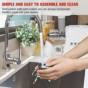 WEALTHGIRL Masticating Juicer Machine with Reverse Function, Cold Press Juicer Machine with Quiet Motor, Easy to Clean with Brush for Kitchen Office