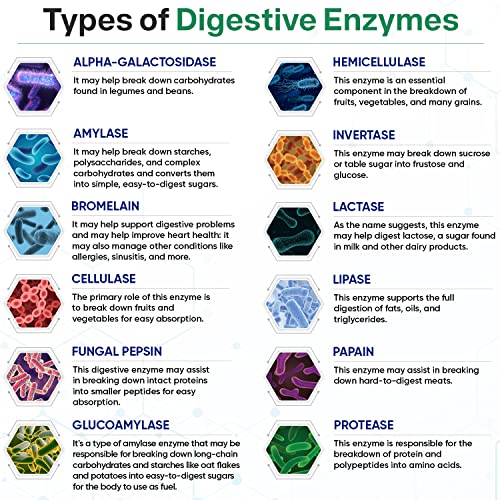 Digestive Enzymes 1000MG Plus Prebiotics & Probiotics Supplement, 180 Capsules, Organic Plant-Based Vegan Formula for Digestion & Lactose with Amylase & Bromelain, 3-6 Month Supply