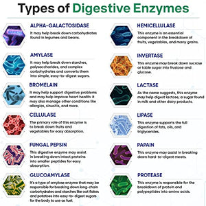 Digestive Enzymes 1000MG Plus Prebiotics & Probiotics Supplement, 180 Capsules, Organic Plant-Based Vegan Formula for Digestion & Lactose with Amylase & Bromelain, 3-6 Month Supply