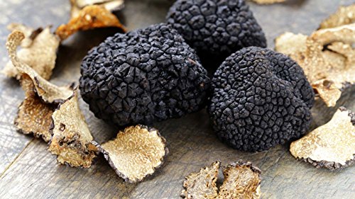 Spores Black Truffle Mushrooms Seeds Dried Mycelium Spawn for Planting Non GMO 100 Seeds