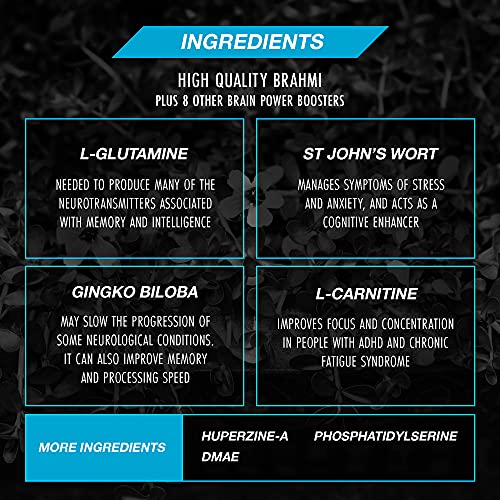VIVVID Brain Booster Focus Supplement - Nootropic Supplements to Improve Memory and Increase Concentration - with Brahmi, Ginkgo Biloba and Other Brain Power Boosters