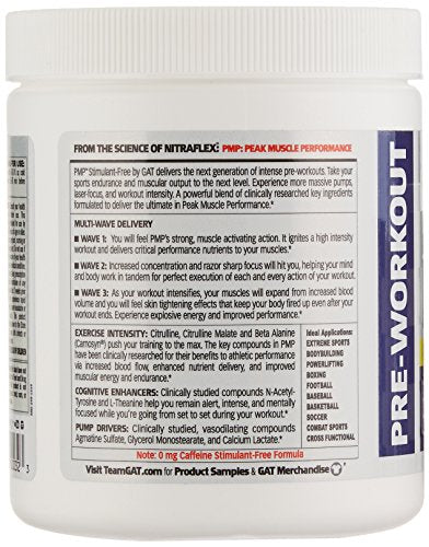 GAT PMP (Peak Muscle Performance), Next Generation Pre Workout Powder for Intense Performance Gains, Stimulant Free Blue Raspberry, 30 Servings