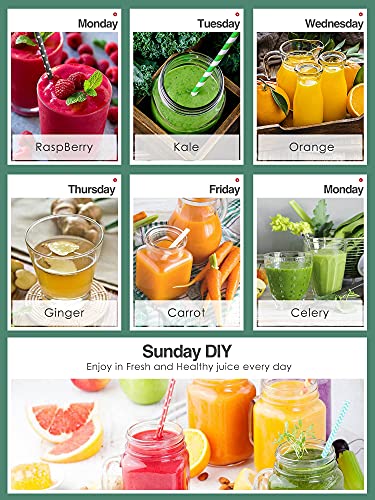 Slow Masticating Juicer Extractor Professional Machine, Cold Press Juicer with Quiet Motor and Reverse Function, High Nutrient Fruit and Vegetable Juice with Juice Jug & Brush for Cleaning