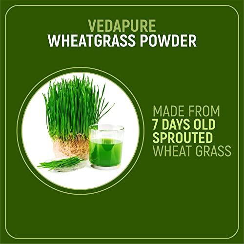 Vedapure 100% Natural Wheat Grass Powder Helps BuiIding lmmunity & Energy (100 g)