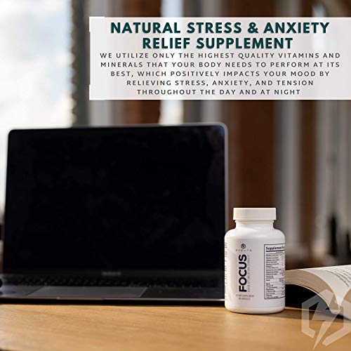 SVELTE Focus Brain Booster | Nootropic Supplement for Men & Women | Memory, Mind & Focus Enhancer for Concentration, Energy & Stress Relief | 60 Pills with L Tyrosine, GABA, Bacopa Extract, & Choline