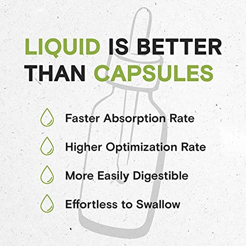 Wheatgrass Alcohol-Free Liquid Extract, Organic Wheatgrass (Triticum aestivum) Dried Leaf Tincture Supplement (2 FL OZ)