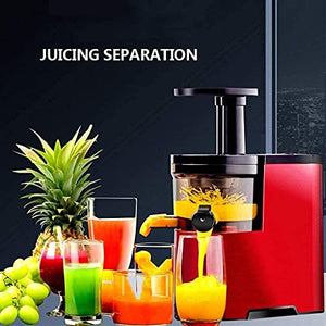 WXLBHD Juicer, Slow Masticating Juicer Extractor Easy to Clean, Cold Press Juicer, Juicer with Quiet Motor & Reverse Function, for Nutrient Fruit & Vegetable Juice