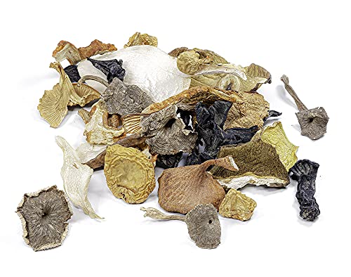 West Coast Wild Foods | Dried Wild Mushrooms (Mix, 100g)