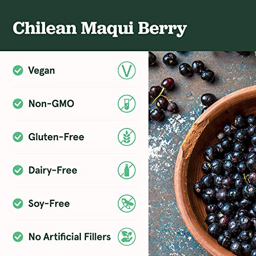 SB Organics Maqui Berry Capsules - 90 ct Non-GMO Vegan Supplement Made of Pure Maqui Berry Powder from Chile - Rich in Antioxidants