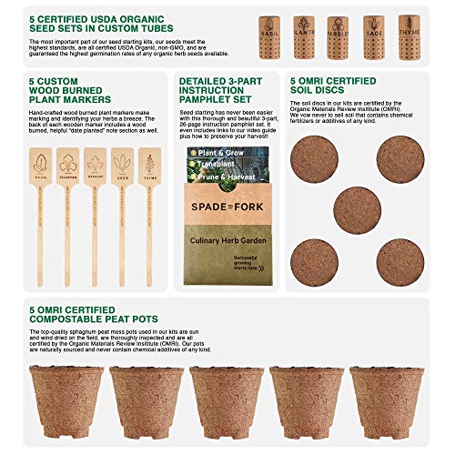 Indoor Herb Garden Starter Kit - Certified USDA Organic Non GMO - 5 Herb Seed Basil, Cilantro, Parsley, Sage, Thyme, Potting Soil, Peat Pots - DIY Kitchen Grow Kit for Growing Herb Seeds Indoors