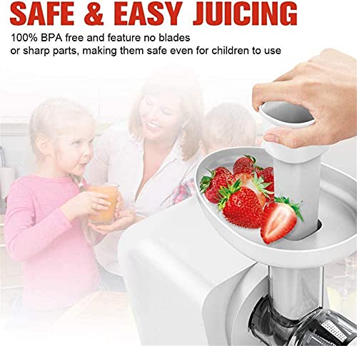 WEALTHGIRL Masticating Juicer Machine with Reverse Function, Cold Press Juicer Machine with Quiet Motor, Easy to Clean with Brush for Kitchen Office