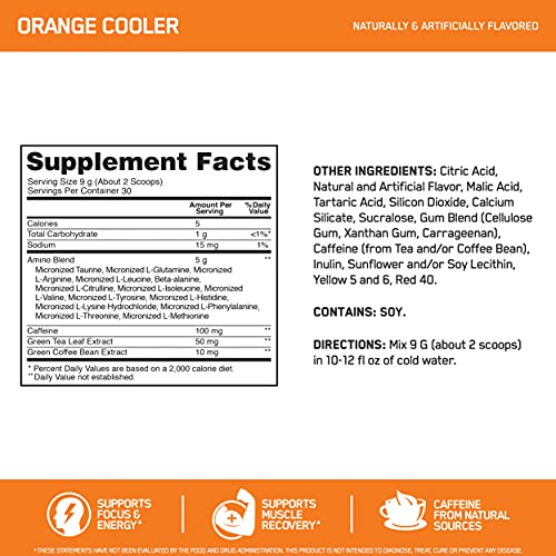 Optimum Nutrition Amino Energy - Pre Workout with Green Tea, BCAA, Amino Acids, Keto Friendly, Green Coffee Extract, Energy Powder - Orange Cooler, 30 Servings