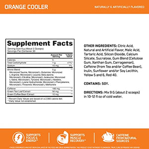 Optimum Nutrition Amino Energy - Pre Workout with Green Tea, BCAA, Amino Acids, Keto Friendly, Green Coffee Extract, Energy Powder - Orange Cooler, 30 Servings