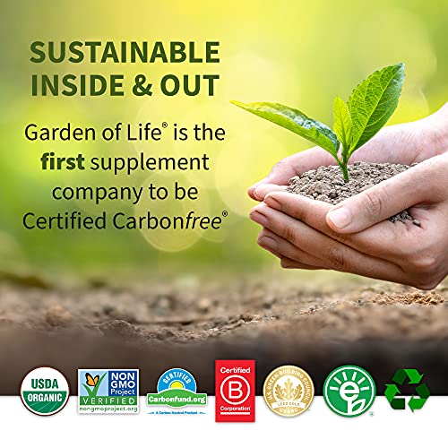 Garden of Life Sport Organic Plant-Based Energy + Focus Vegan Pre Workout Powder Packets, Sugar Free BlackBerry Cherry Clean Preworkout with 85mg Caffeine Natural NO Booster B12 Gluten Free 12ct Tray