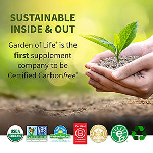 Garden of Life Sport Organic Plant-Based Energy + Focus Vegan Pre Workout Powder Packets, Sugar Free BlackBerry Cherry Clean Preworkout with 85mg Caffeine Natural NO Booster B12 Gluten Free 12ct Tray