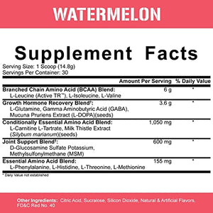 Rich Piana 5% Nutrition Drink Sleep Grow | Nighttime Muscle Builder, BCAA Post Workout Recovery Drink | Aminos, EAAs, Glutamine, GABA, Mucuna Pruriens, Joint Support | 15.66 oz (Watermelon)