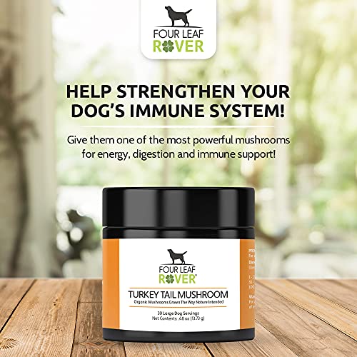 Four Leaf Rover: Turkey Tail Mushroom Extract - Critical Immune Support and Prebiotic for Dogs - Up to 200 Servings, Depending on Dog’s Weight - Rich in Beta-Glucans - Vet Formulated - for All Breeds