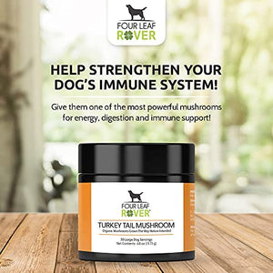 Four Leaf Rover: Turkey Tail Mushroom Extract - Critical Immune Support and Prebiotic for Dogs - Up to 200 Servings, Depending on Dog’s Weight - Rich in Beta-Glucans - Vet Formulated - for All Breeds
