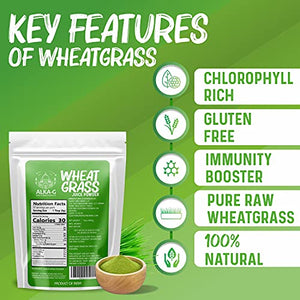 ALKA-G Wheat Grass Powder 16 Oz | Organic Wheat Grass Green Superfoods Powder Sustainably Grown in Indian | Instant Juice Powder Resealable Pack of 1