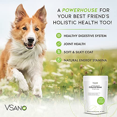 VSano Colostrum Powder with Liposomal Delivery (LD) - Immune System Support for Humans & Pets - Efficient Absorption of Healthy Lactoferrin for Wellness (Natural, 16 oz)