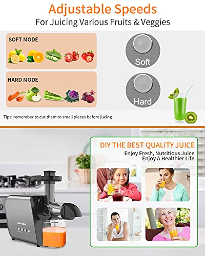 Vegetable and Fruit Masticating Juicers Extractor for Wheatgrass Tomato Leafy Greens Carrots Celery Ginger Beet Roots, Cold Press Slow Juicer Machines with Reverse Function High Juice Yield Easy Clean