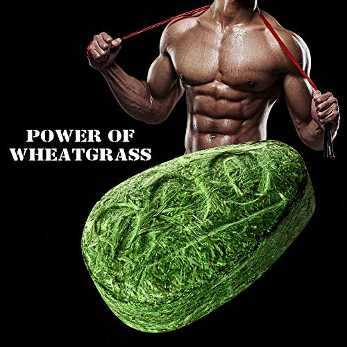 RAW Wheat Grass Pressed Sprouts 300 Capsules - Vegan Nutritional Supplement - Contain Record Number of Vitamins