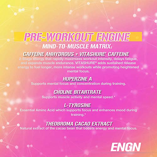 Evlution Nutrition ENGN Pre-Workout, Pikatropin-Free, 30 Servings, Intense Pre-Workout Powder for Increased Energy, Power, and Focus (Pink Lemonade)