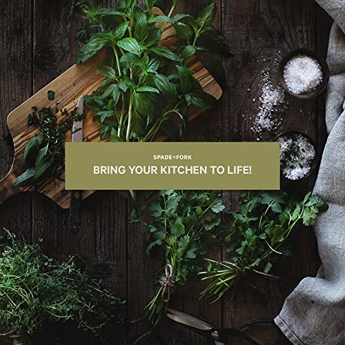 Indoor Herb Garden Starter Kit - Certified USDA Organic Non GMO - 5 Herb Seed Basil, Cilantro, Parsley, Sage, Thyme, Potting Soil, Peat Pots - DIY Kitchen Grow Kit for Growing Herb Seeds Indoors