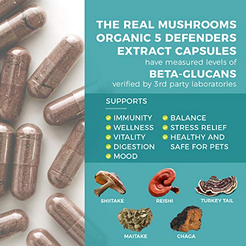 Real Mushrooms 5 Defenders Mushroom Supplements for Immune Support (90ct) Promote Better Overall Wellbeing w/ Chaga, Shiitake, Maitake, Turkey Tail, & Reishi Mushroom | Vegan, Non-GMO