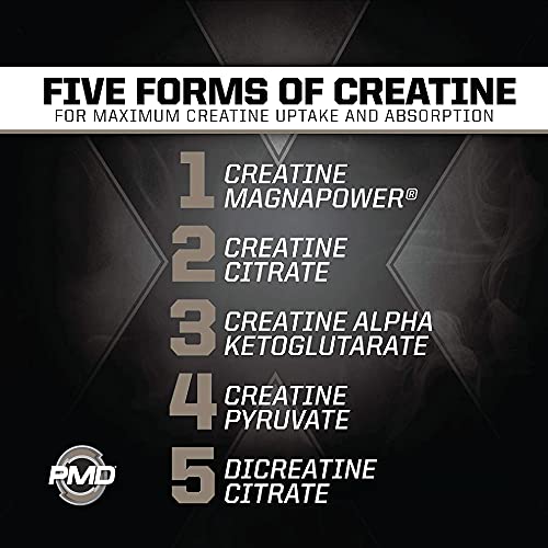 PMD Sports CR5 Professional Creatine Complex - Improved Recovery, Reduce Soreness, Lean Muscle Mass Gainer - Power 5 Creatine Blend for Strength, Endurance, and Recovery (240 Creatine Capsules)