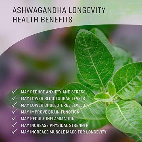 Ashwagandha Tincture - Organic Withania Somnifera Liquid Extract Promoting Stress Relief, Brain & Heart Function - Alcohol-Free Herbal Drops for Energy - Vegan, Non-GMO - 2 fl. Oz Bottle (2 FL OZ)