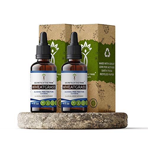 Wheatgrass Alcohol-Free Liquid Extract, Organic Wheatgrass (Triticum aestivum) Dried Leaf (2x4 FL OZ)